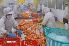 Standard Chartered has revised up its forecast for Vietnam’s 2024 GDP growth to 6.8% from the previous 6.0%. (Photo: VNA)