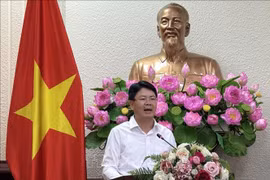 Deputy Minister of Justice Nguyen Thanh Tinh. (Photo: VNA)
