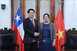 State President Luong Cuong (left) and Speaker of the Chamber of Deputies of Chile Karol Cariola at their meeting in Santiago de Chile on November 11. (Photo: VNA)