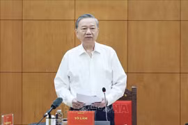 Party General Secretary To Lam speaks at the meeting of the Standing Board of the Central Steering Committee for Prevention and Control of Corruption, Wastefulness, and Negative Phenomena in Hanoi on October 30. (Photo: VNA)