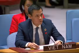Ambassador Dang Hoang Giang, Permanent Representative of Vietnam to the UN (Photo: VNA)