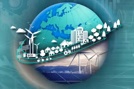 Vietnam urged to build comprehensive national green transition strategy