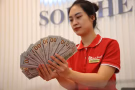 Strong measures needed to cool down exchange rates