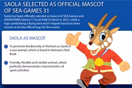 Saola selected as official mascot of SEA Games 31