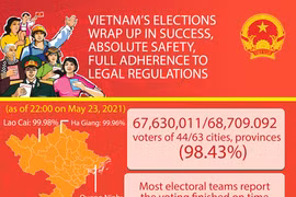 Vietnam's elections wrap up in success