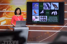 Hanoi broadcasts lessons on TV as schools remain closed