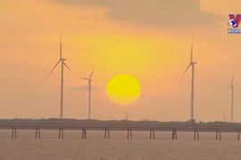 Gov’t exerts efforts to secure sustainable future via green transition