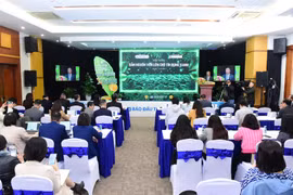 Insiders seek solutions to promote green credit