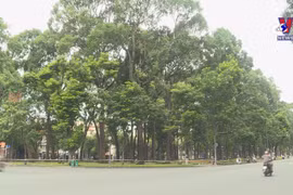 HCM City to impose 15-day social distancing measures