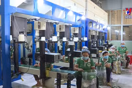 Vietnamese rice value heading upwards