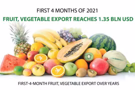 Fruit, vegetable export reaches 1.35 billion USD