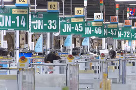 Foreign investors in Vietnam recuperate from COVID-19