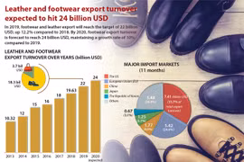 Leather and footwear export turnover expected to hit 24 billion USD