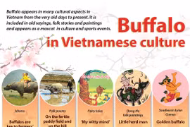Buffalo in Vietnamese culture