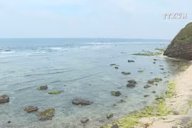Quang Ngai expects to welcome over 1.2 million visitors in 2020