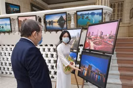 Art exhibition bridges Vietnam and Egypt