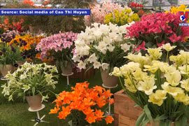 Overseas Vietnamese shines at int’l floral competition