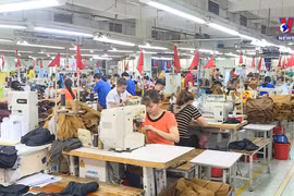 Vietnam's economy to grow by 6.6% this year: OECD