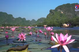 Ninh Binh - one of 10 most welcoming regions: Booking.com