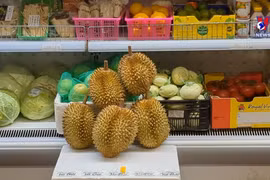 Positive signs for durian exports to the UK