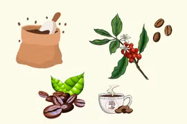 Coffee exports set to account for 80-85% of total production by 2030