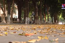 Autumn - The most stunning time to visit Hanoi