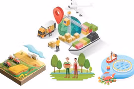 First 10 months of 2023: Agro-forestry-fisheries exports hit over 43 billion USD