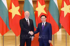 Parliaments of Vietnam, Bulgaria strengthen cooperation