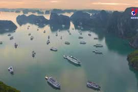 2024 expected to be good year for domestic tourism