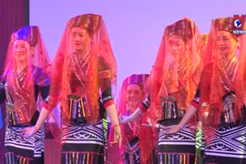 Art performance spotlights Vietnamese culture in France