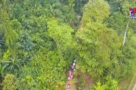 Forest worship: Unique feature of Na Hau’s Mong ethnic group rituals