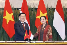 Vietnam attaches importance to promoting ties with Indonesia: NA Chairman