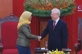 Vietnam-Singapore relationship at its prime