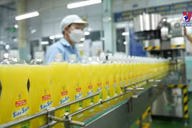 Domestic retailers on path to recovery