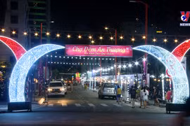 Da Nang looks at growing night-time economy