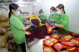 New law drafted to fuel boom in SMEs 
