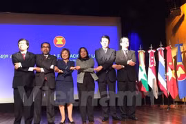 Vietnam chairs ASEAN Day celebration in Argentina