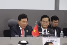 Solidarity promotes NAM strength: Deputy PM 