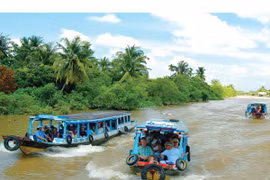 Vinh Long’s ecotourism enjoys New Year’s upbeat record