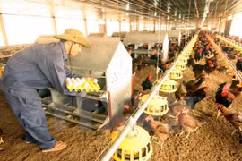 Zoonotic diseases put under control nationwide 