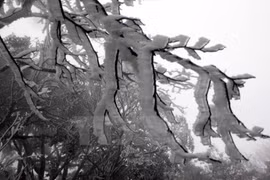Cao Bang: Snow covers Phja Oac mountain