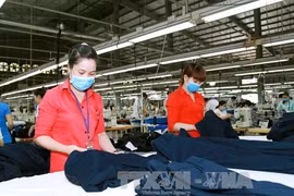 FTA enforcement opens up new prospects for Vietnam-EAEU trade 