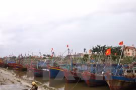 Deputy PM inspects storm prevention in Thai Binh 