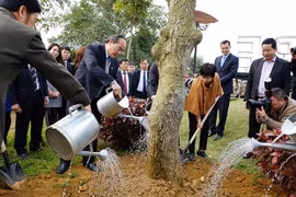 Programme greens Hoa Lac Hi-tech Park with trees