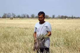 National CPI sees slight rise in April 