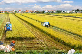 Restructuring agriculture for integration and development 