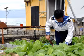 Programme calls for practical support for Truong Sa people