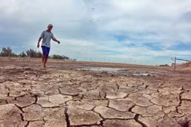 Drought, saline intrusion prevention – urgent task