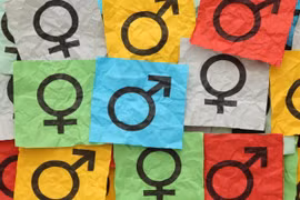 Social determinants of gender inequality in Vietnam 