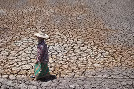 Thailand calls on manufacturers to cut water usage